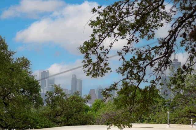 2007 Alameda Dr, Austin, TX 78704 - surrounding community with a view of skyline