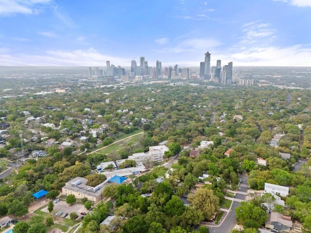2007 Alameda Dr, Austin, TX 78704 - aerial view of skyline
