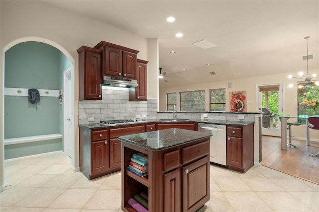 2009 Manada Trl, Cedar Park, TX 78641 - kitchen featuring stainless steel appliances, under cabinet range hood, a peninsula, tasteful backsplash, and recessed lighting