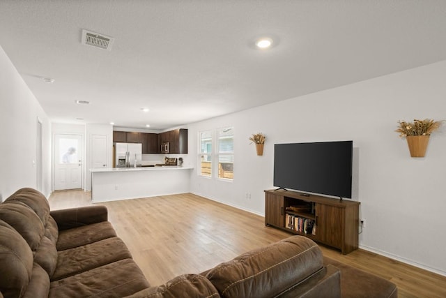 197 Buenos Aires, Kyle, TX 78640 - living room with light wood finished floors, baseboards, and recessed lighting