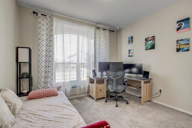 285 Kat Garnet Dr, Kyle, TX 78640 - bedroom with multiple windows, light carpet, and a desk