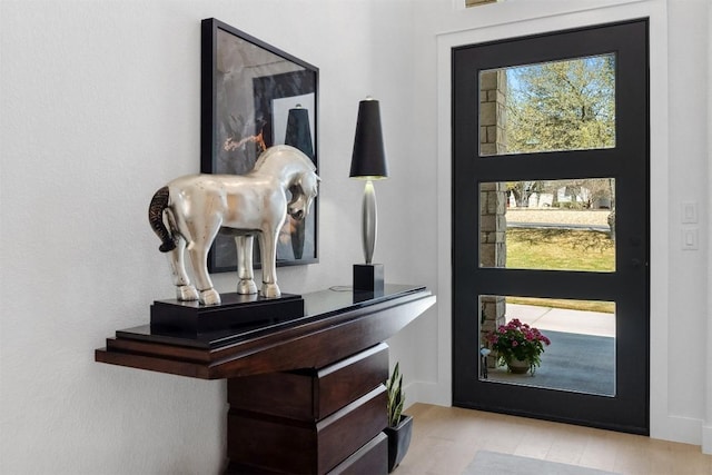 744 Buffalo Trl, Liberty Hill, TX 78642 - entrance foyer featuring plenty of natural light and wood finished floors