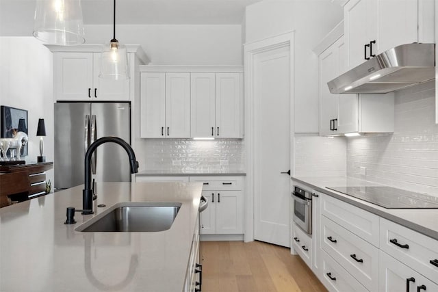 744 Buffalo Trl, Liberty Hill, TX 78642 - kitchen featuring under cabinet range hood, stainless steel appliances, white cabinetry, and light wood finished floors