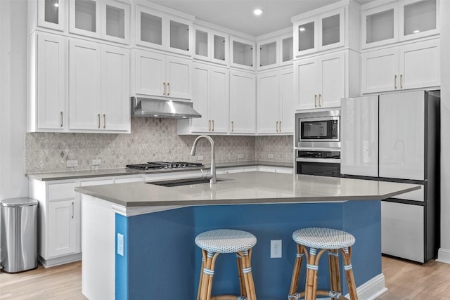236 Diamondback Dr, Georgetown, TX 78628 - kitchen with stainless steel appliances, a sink, under cabinet range hood, light wood finished floors, and white cabinets