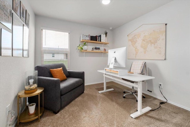 249 Calgary Ln, San Marcos, TX 78666 - office with carpet floors