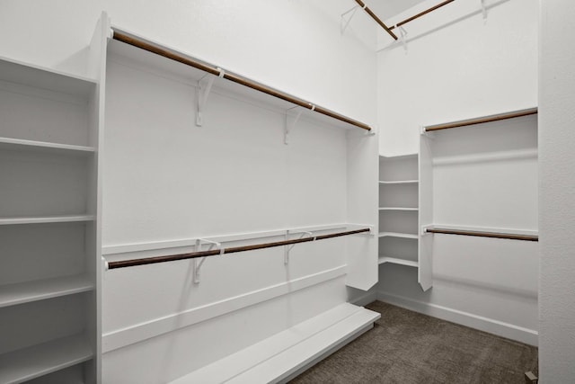 6009 Empresa Dr, Austin, TX 78738 - spacious closet with dark colored carpet