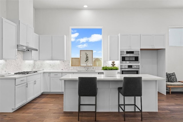 6020 Sendero Hills Pkwy, Austin, TX 78724 - kitchen featuring under cabinet range hood, appliances with stainless steel finishes, a center island, white cabinetry, and tasteful backsplash