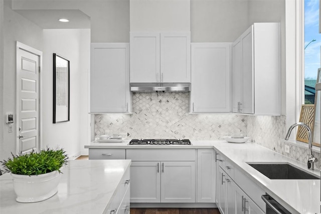 6020 Sendero Hills Pkwy, Austin, TX 78724 - kitchen with appliances with stainless steel finishes, under cabinet range hood, decorative backsplash, and white cabinetry