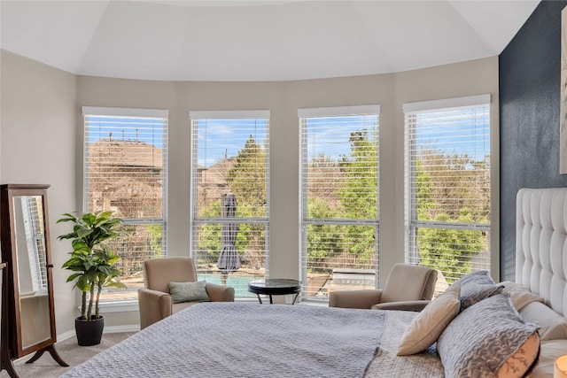 3925 Good Night Trl, Leander, TX 78641 - bedroom featuring lofted ceiling, carpet, and multiple windows