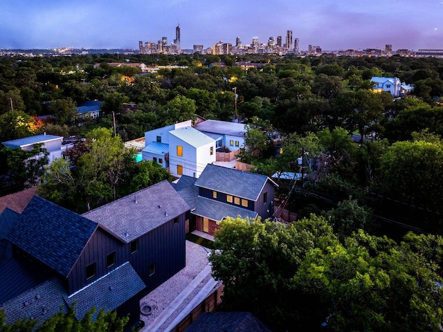 3306 Larry Ln Unit B, Austin, TX 78722 - aerial view of skyline