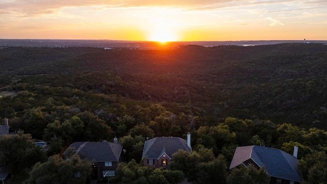 5204 Eagle Trace Trl, Austin, TX 78730 - bird's eye view of a forest