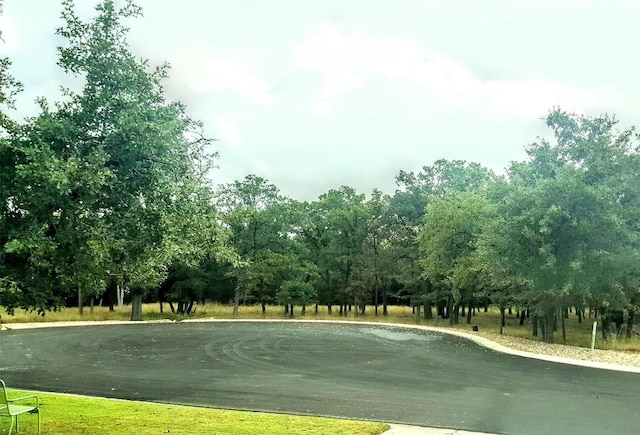 207 Cider Orchard Cv, Georgetown, TX 78633 - surrounding community with view of wooded area