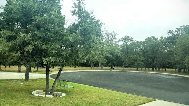 207 Cider Orchard Cv, Georgetown, TX 78633 - view of community with a yard and curved driveway