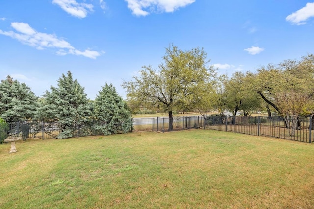 839 Salado Creek Ln, Georgetown, TX 78633 - view of yard with fence