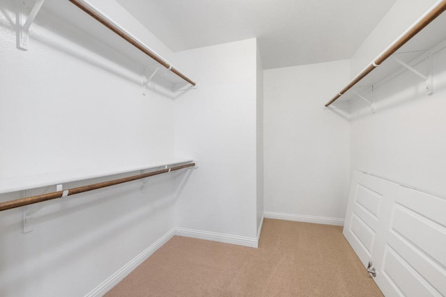 839 Salado Creek Ln, Georgetown, TX 78633 - spacious closet with light carpet