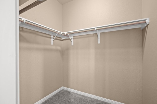 walk in closet featuring carpet