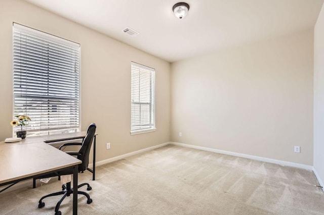 2920 Agave Loop, Round Rock, TX 78681 - unfurnished office with light colored carpet