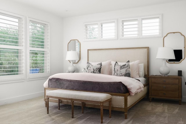 2517 Exposition Blvd, Austin, TX 78703 - bedroom featuring multiple windows, carpet, and baseboards