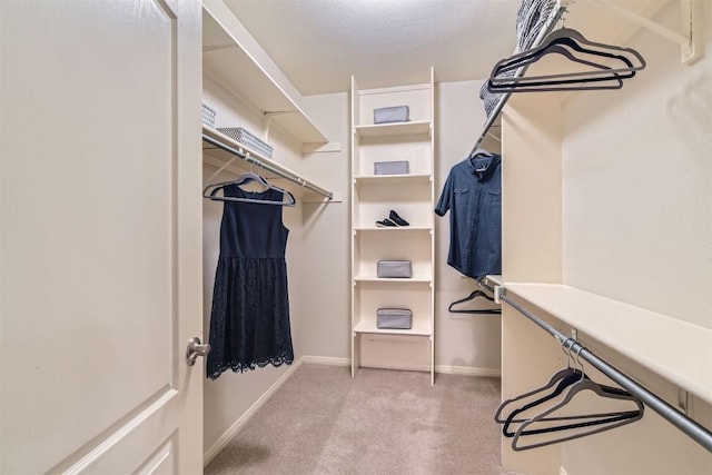 spacious closet featuring light carpet