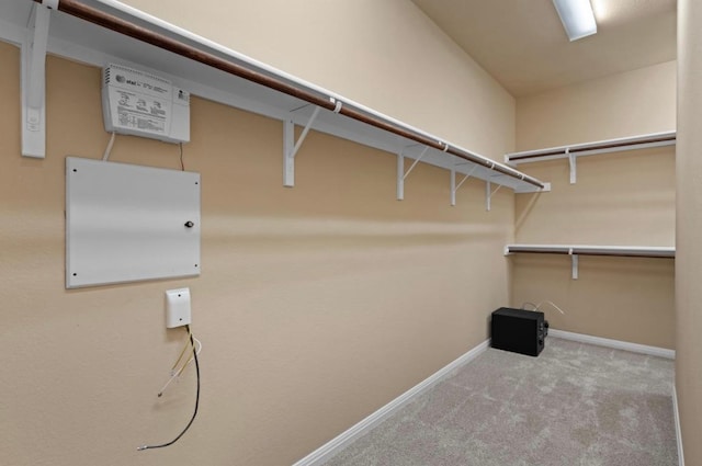 17920 Silent Harbor Loop, Pflugerville, TX 78660 - walk in closet featuring carpet
