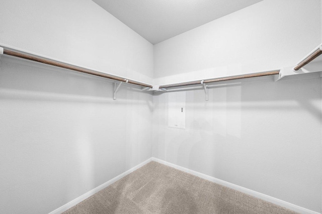 walk in closet featuring carpet