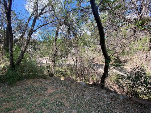2550 Fm 2342 Hero'S Hideaway, Unit Heros Hideaway, Burnet, TX 78611 - view of tree filled area
