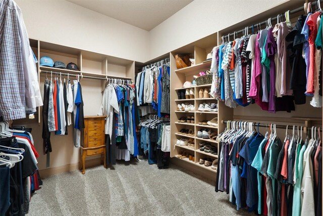 walk in closet featuring carpet
