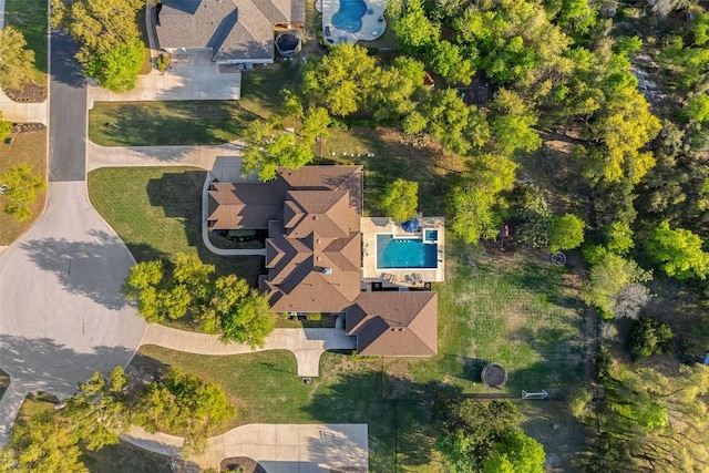 bird's eye view