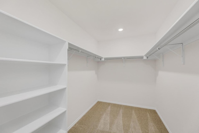 4915 Mozzafiato Ln, Round Rock, TX 78665 - spacious closet featuring carpet floors