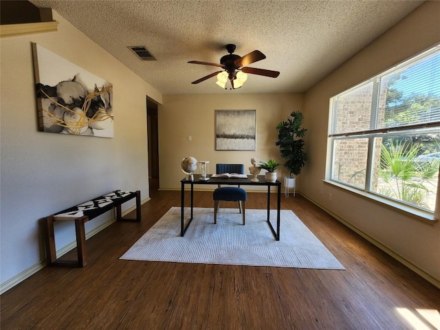 2516 Glen Field Dr, Cedar Park, TX 78613 - home office featuring a textured ceiling, wood finished floors, and a ceiling fan