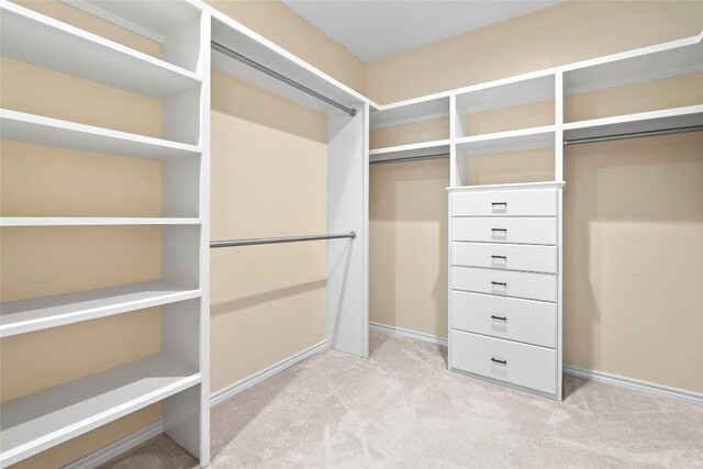 330 Arbors Cir, Elgin, TX 78621 - walk in closet with light carpet