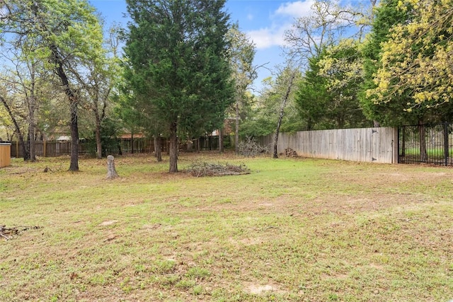 330 Arbors Cir, Elgin, TX 78621 - view of yard