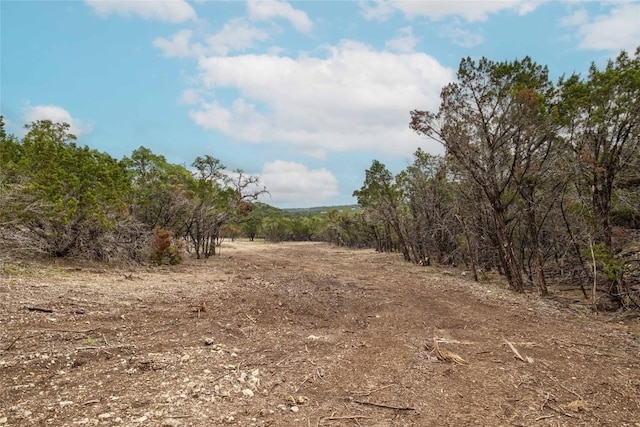 TBD Old Red Ranch Rd, Dripping Springs, TX 78620 - photo 8
