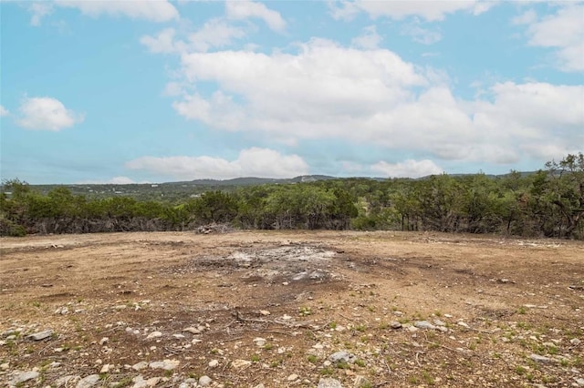 TBD Old Red Ranch Rd, Dripping Springs, TX 78620 - photo 9