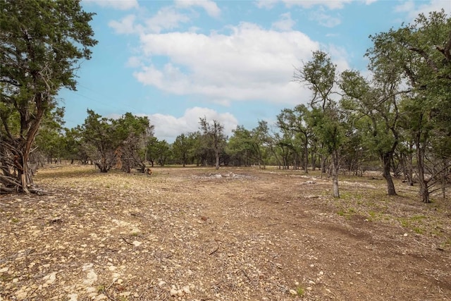 TBD Old Red Ranch Rd, Dripping Springs, TX 78620 - photo 11