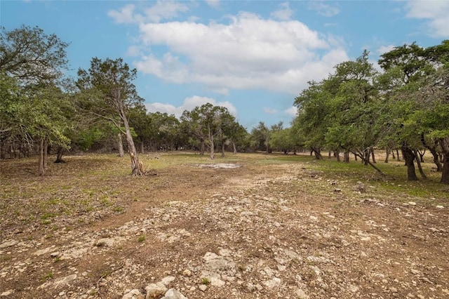 TBD Old Red Ranch Rd, Dripping Springs, TX 78620 - photo 12