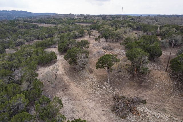 TBD Old Red Ranch Rd, Dripping Springs, TX 78620 - photo 13