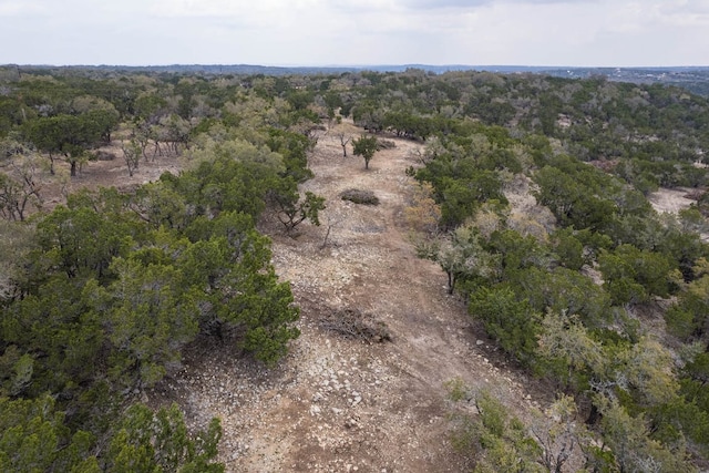 TBD Old Red Ranch Rd, Dripping Springs, TX 78620 - photo 14