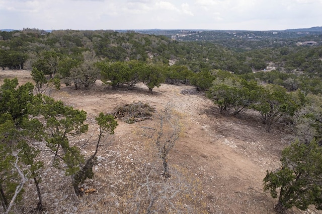 TBD Old Red Ranch Rd, Dripping Springs, TX 78620 - photo 15