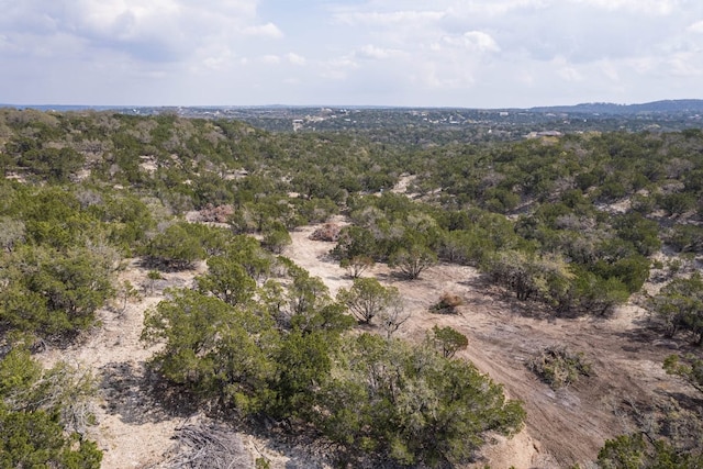 TBD Old Red Ranch Rd, Dripping Springs, TX 78620 - photo 16