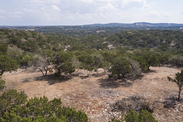 TBD Old Red Ranch Rd, Dripping Springs, TX 78620 - photo 17