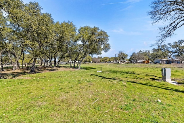 1113 Mesquite St, Blanco, TX 78606 - photo 15