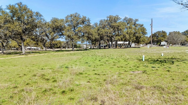 1113 Mesquite St, Blanco, TX 78606 - photo 10
