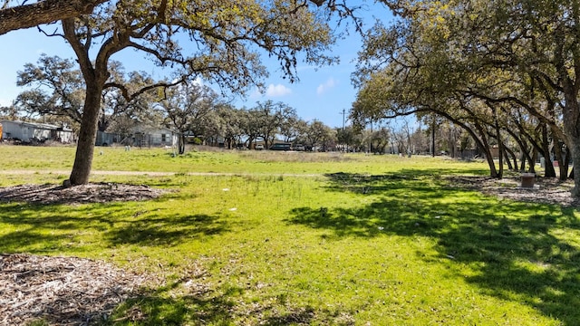1113 Mesquite St, Blanco, TX 78606 - photo 2