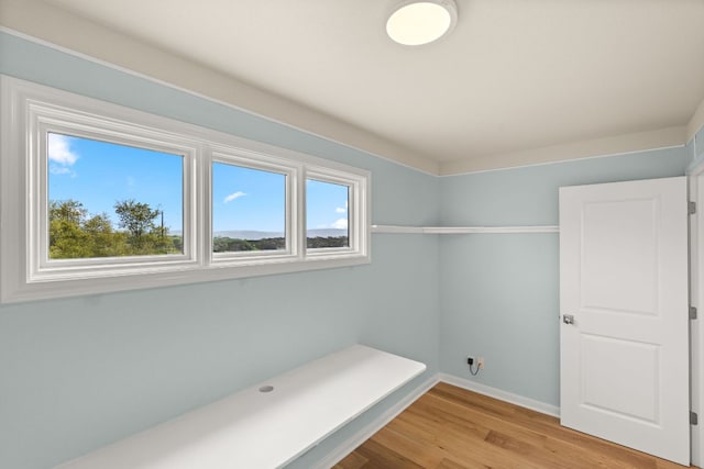 4004 Cloudy Ridge Rd, Austin, TX 78734 - unfurnished bedroom with multiple windows and light wood-style floors