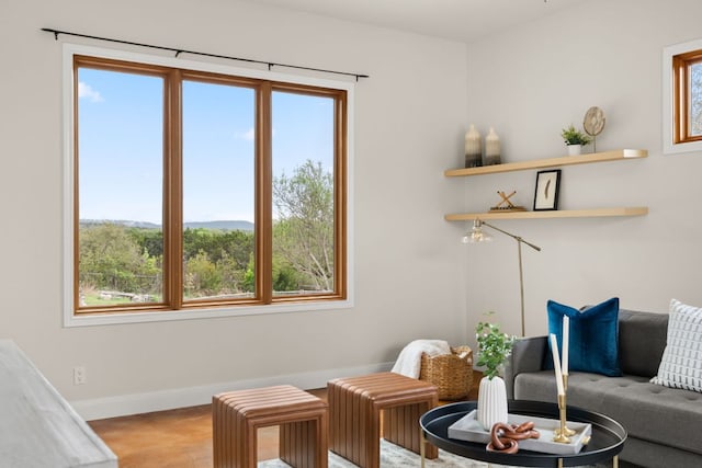 4004 Cloudy Ridge Rd, Austin, TX 78734 - living area featuring healthy amount of natural light and wood finished floors