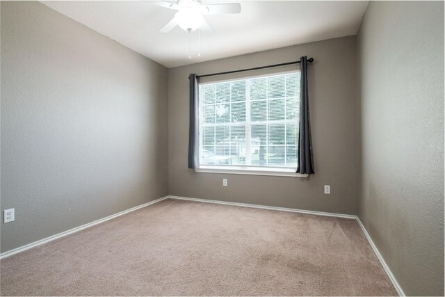 326 Brown St, Hutto, TX 78634 - photo 7