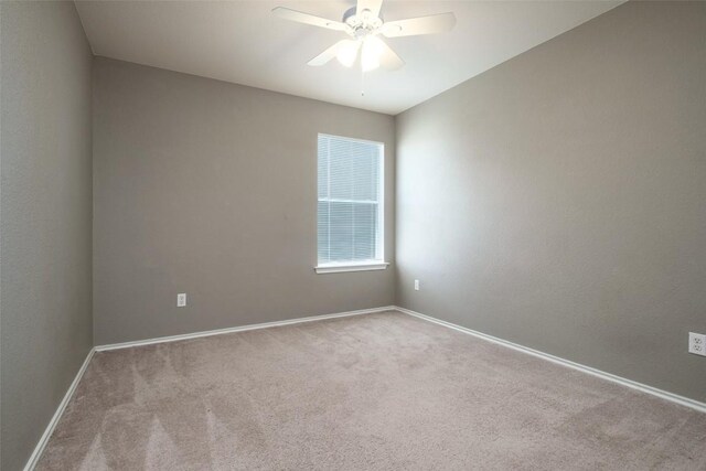 326 Brown St, Hutto, TX 78634 - photo 9
