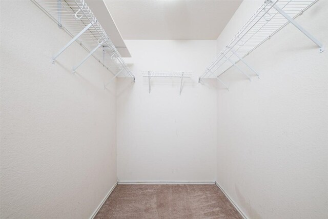 326 Brown St, Hutto, TX 78634 - photo 13