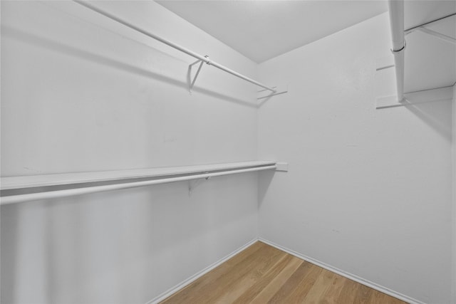 1406 Windsor Rd Unit 301, Austin, TX 78703 - spacious closet with light wood-type flooring